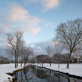 Tamilyn-Derryberry-Open-1st-Place-February 2025