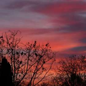 leandra-habel-sunrise-2nd-Place-January 2025