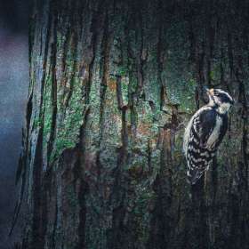 Martin-Cregg-Textures-1st-Place-September