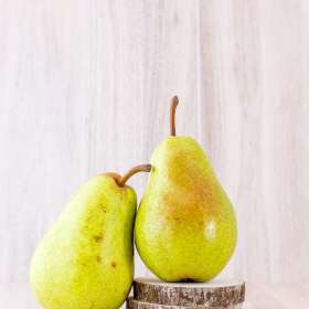 Leandra-Habel-Pairs-1st-Place-February 2025