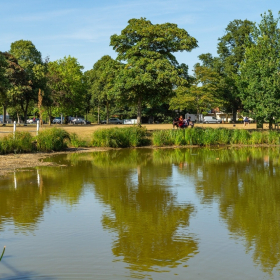 Essex Club - 18  Shenfield Common