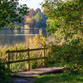Essex Club - 3 View across Lake Weald Park