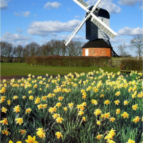 Essex Club - 43 Springtime in Mountnessing