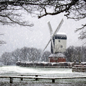 Essex Club - 44 Snowfall in Mountnessing