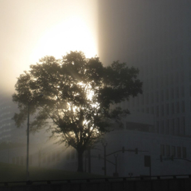 Foggy Morning in Nashville.