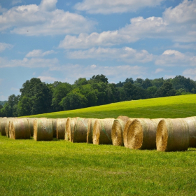 Common Scene Around Nolensville