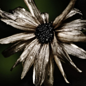 phyllis-tatum-forgottenobjects-2