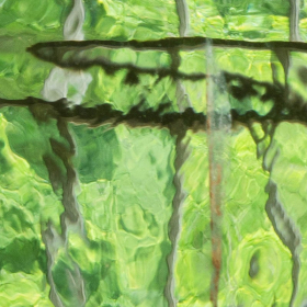 Virginia-Gregory-Kocaj