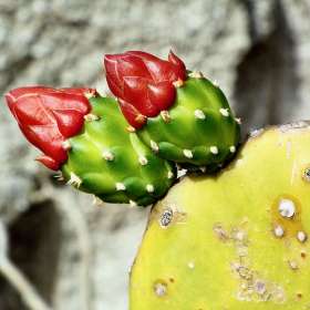 Deb-Pool-Gallary-Wall-Feb-BPG-1