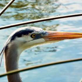 Deb-Pool-Gallery-Wall