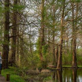 Diane-Burgett-DSC05237-Edit-1