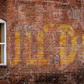 Diane-Burgett-DSC05726-1