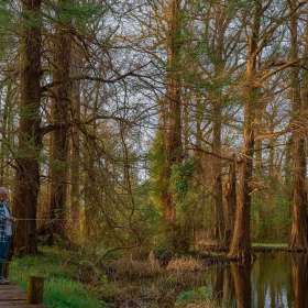 Diane-Burgett-Reelfoot-Lake