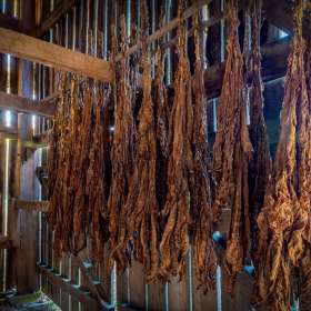 Diane-Burgett-Tobacco-Barn-on-Natchez-trace