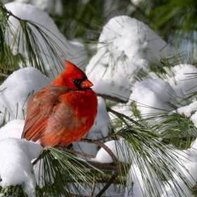 ElizabethStead-GalleryWall-060