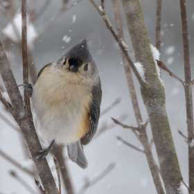 ElizabethStead-GalleryWall-333