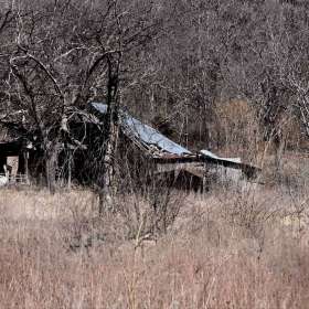 Phyllis-Tatum-Gallery-Wall.5-2