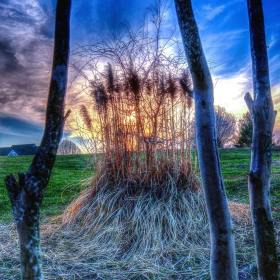 Jim-Havens-Its-About-Light-3