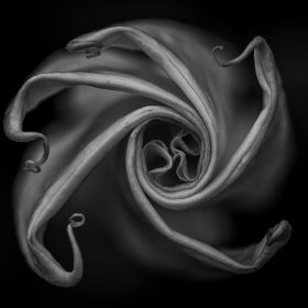 Monte-Arnold-Its-All-About-The-Light-1