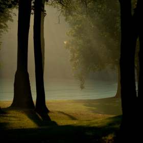 Sue-Henry-Its-All-About-the-Light-1