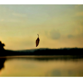 Willette-DuPree-All-about-the-light1