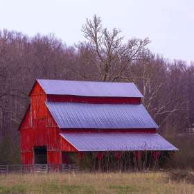 Sheila Peschio  - Vistas (Joint 1st Place)