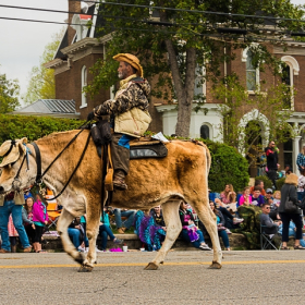 jhavens_transportation_1