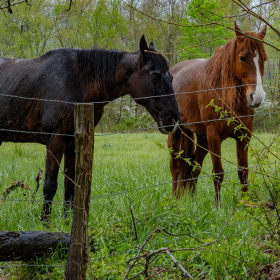 joberle_transportation_1