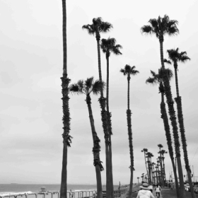 jvogus_transportation_4