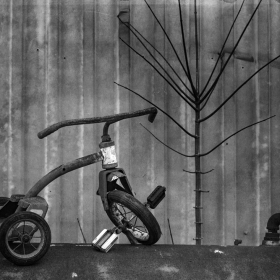 shenry_transportation_4