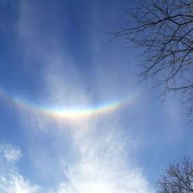 Marjorie-PessWCPL.2021