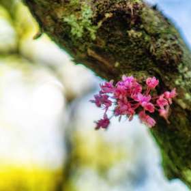 Al-Wood-Around-the-Yard-3