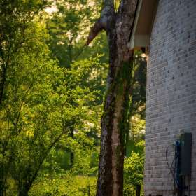 Jeremy-Teran-Around-the-Yard-2-1