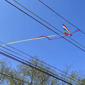 Lee-Ramsey-Around-the-Yard-1