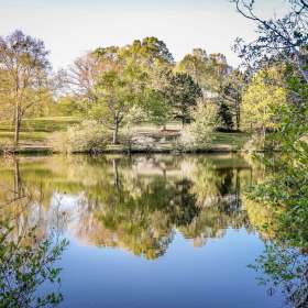 Loie-Frost-Around-the-yard-3.jg_