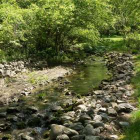 Pat-Hollander-Around-the-Yard-4