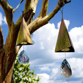 Rick_Wise-Backyard-1