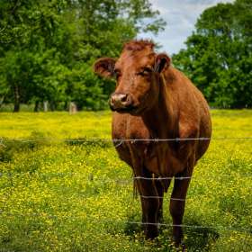 Jeremy-Teran-Curves-2