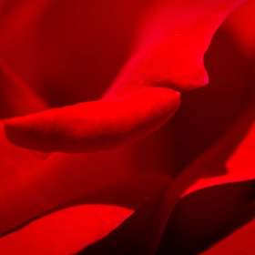 John-Mott-Curves-1