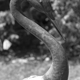 Phyllis-Tatum-Curves-2