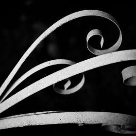 Rick-Borchert-Curves-1