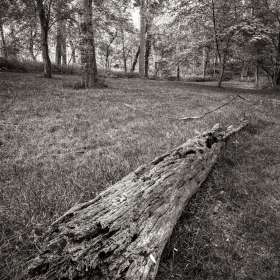 Al-Wood-Depth-of-Field-2