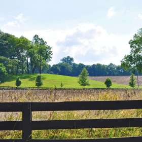 Phyllis-Tatum-Depth-of-Field-1