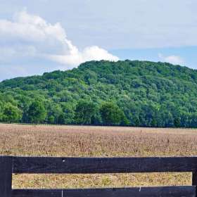 Phyllis-Tatum-Depth-of-Field-2