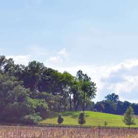 Phyllis-Tatum-Depth-of-field-3