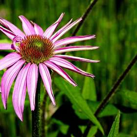 Rick_Wise-Depth-of-Field-1