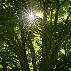 Rick_Wise-Depth-of-Field-3