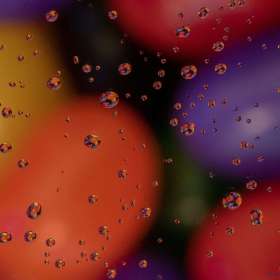 Weekly Challenge - Food