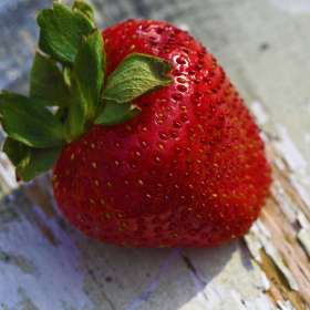 Phyllis Tatum - Food 2