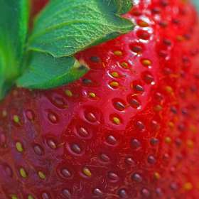 Phyllis Tatum - Food 1